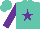 Silk - Turquoise, Purple star, Purple Sleeves