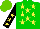 Silk - Green, yellow stars, black sleeves on yellow stars, light green cap