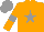 Silk - Orange, grey star, armlets and cap