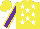 Silk - Yellow, white stars, purple sleeves, yellow seams, yellow cap