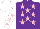 Silk - Purple, pink stars, white sleeves with pink stars, white cap