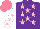 Silk - Purple, pink stars, white sleeves with pink stars, salmon cap