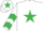 Silk - White, Emerald Green star, chevrons on sleeves, White cap, Emerald Green star