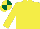 Silk - Yellow and dark green quartered