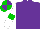 Silk - Purple, white arms, green armlets, green cap, purple quarters