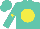 Silk - Turquoise, yellow star on ball, yellow star on sleeves