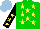 Silk - Green, yellow stars, black sleeves on yellow stars, light blue cap