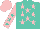 Silk - Turquoise,pink stars, turquoise stars on pink sleeves, pink cap