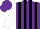 Silk - Purple, black stripes, white sleeves