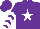 Silk - Purple, white star, chevrons on sleeves