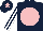 Silk - Dark blue, pink disc, dark blue and white striped sleeves, dark blue cap, pink star