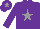 Silk - Purple, grey star, grey star on cap