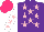 Silk - Purple, pink stars, white sleeves with pink stars, hot pink cap