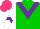 Silk - Green, purple chevron, white sleeves, purple chevron, hot pink cap
