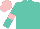 Silk - Turquoise, pink band on sleeves, pink cap