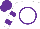 Silk - White, purple circle, two purple hoops on sleeves, purple cap