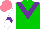 Silk - Green, purple chevron, white sleeves, purple chevron, salmon cap