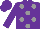 Silk - Purple, grey spots, purple sleeves and cap