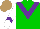 Silk - Green, purple chevron, white sleeves, purple chevron, light brown cap