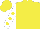 Silk - Yellow, white sleeves, yellow spots