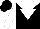 Silk - black, white yolk, white inverted triangle, white sleeves, black cap