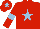 Silk -  RED, LIGHT BLUE star, armlets and star on cap