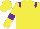 Silk - Yellow body, purple epaulettes, yellow arms, purple armlets, yellow cap