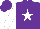 Silk - PURPLE, WHITE star and sleeves