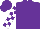 Silk - Purple, purple and white star on back, white blocks on sleeves