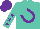 Silk - Turquoise, purple horseshoe, purple stars on turquoise sleeves, purple cap