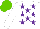 Silk - White, purple stars, white cap, light green cap