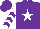 Silk - Purple, white star, purple chevrons on white sleeves, purple cap