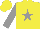 Silk - Yellow, grey star, grey sleeves