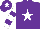 Silk - Purple, white star, white and purple hooped sleeves, purple cap, white star