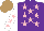 Silk - Purple, pink stars, white sleeves with pink stars, light brown cap