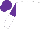 Silk - White, purple and white halved sleeves, purple cap
