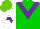 Silk - Green, purple chevron, white sleeves, purple chevron, light green cap