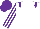 Silk - White, purple epaulets, striped sleeves, purple cap