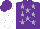 Silk - Purple, silver stars, white sleeves, purple cap