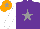 Silk - Purple, grey star, white sleeves, orange cap, grey star