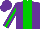 Silk - Purple, green panel, green stripe on sleeves