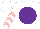 Silk - White, purple disc, pink chevrons on sleeves, white cap