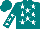 Silk - Teal, white stars, white stars on sleeves