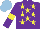 Silk - Purple, yellow stars, armlets, light blue cap