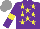 Silk - Purple, yellow stars, armlets, grey cap