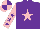 Silk - Purple body, pink star, pink arms, purple stars, pink cap, purple quartered
