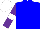Silk - Blue, purple sleeves, white armlets, white cap
