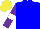 Silk - Blue, purple sleeves, white armlets, yellow cap