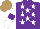 Silk - Purple, white stars, white sleeves on purple armlets, light brown cap