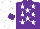 Silk - Purple, white stars, white sleeves on purple armlets, white cap